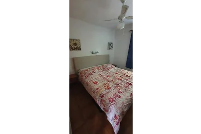 Casa Mimosa