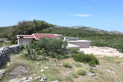 Sans Souci Robinson