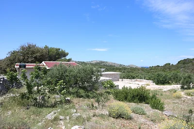 Sans Souci Robinson