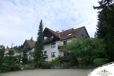 Ferienwohnung Seezauber Hahnenklee