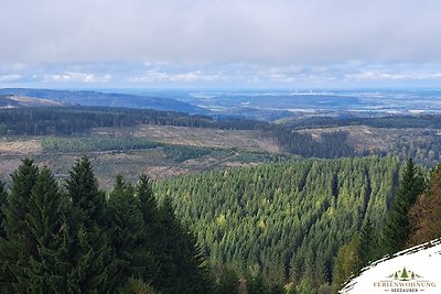 Ferienwohnung Seezauber Hahnenklee