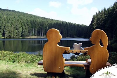 Ferienwohnung Seezauber Hahnenklee