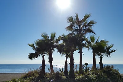 Vista Mar-Laguna Beach, WLAN, Klima