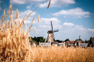 Boslodge met sauna | 2 pers.