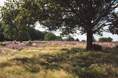 Boslodge met hottub & sauna | 2 pers.