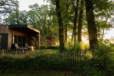 Waldlodge Royal mit Sauna | Hundezaun | 2...
