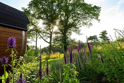 Hofvilla Amalia mit Sauna | Hundezaun | 2...