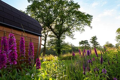 Vakantievilla Amalia 4 met sauna