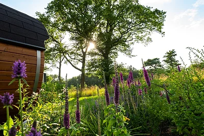 Ferienvilla Amalia 2 Deluxe