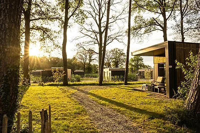 Waldlodge Royal mit Sauna | Hundezaun | 2...