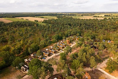 Wald-Lodge | 6 Pers.