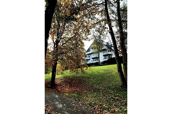 Vakantieappartement Willingen