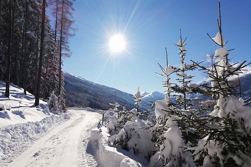 Oberhalb der Ferienwohnung befinden sich tolle Wanderwege