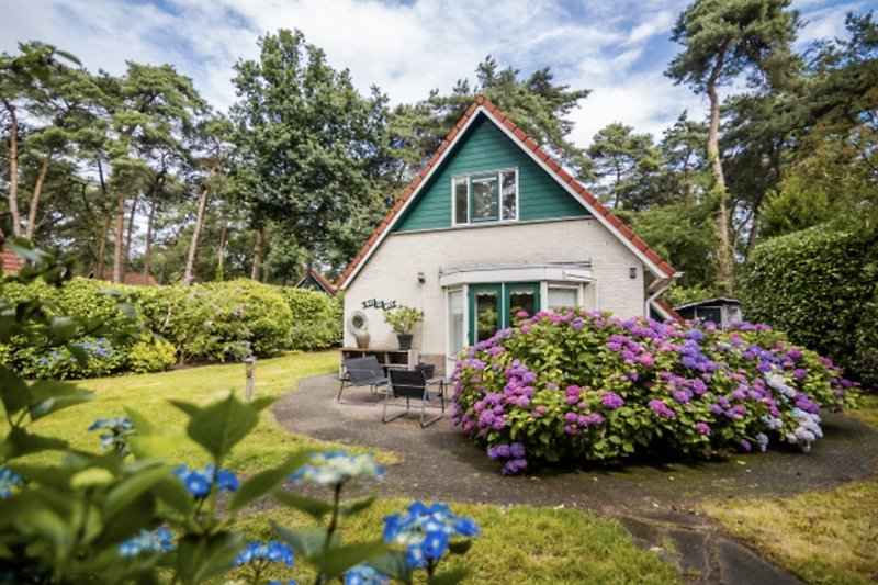 Voorkant van Bosvilla “Dit is het”. Een ruime, groene tuin vol met prachtig bloeiende hortensia’s.