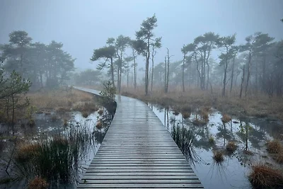 Bosvilla "Dit is het"