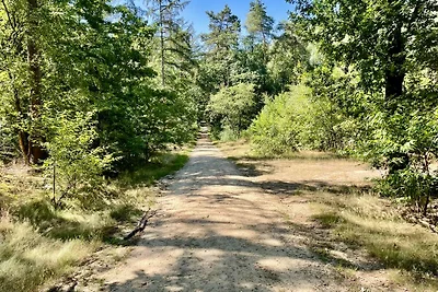 Bosvilla "Dit is het"