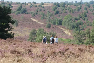 Bosvilla "Dit is het"