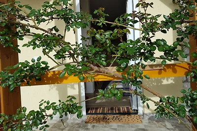 Ferienhaus "Rosentraum"