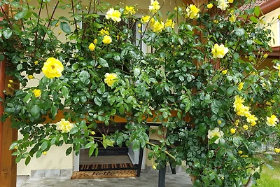 Haus Rosentraum