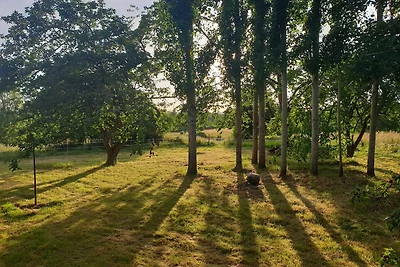 Ferienhaus Björks