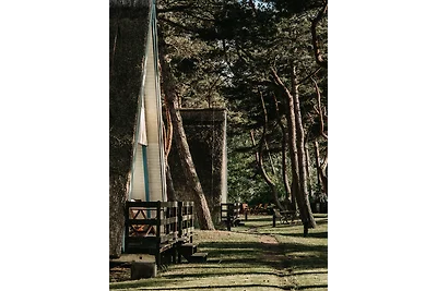 Finnhütte Sieben - 100m zum Strand