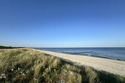 Finnhütte Sieben - 100m zum Strand