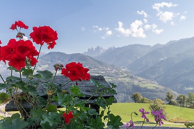 Appartement Geislerblick