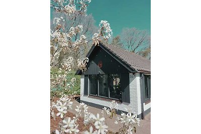 OUD Veluwe - vakantiehuis - bos