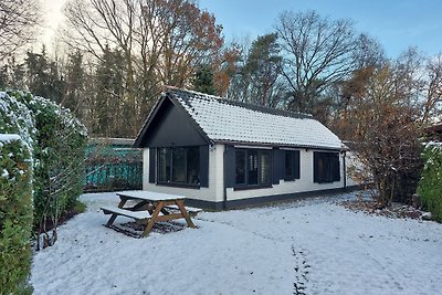 OUD Veluwe - Ferienhaus - im wald