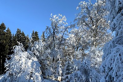 Möllis Häuschen