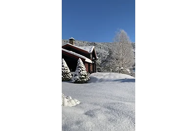 Luxury house "Berg" with outdoor sauna and hot tub