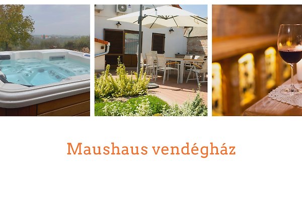 Vakantiehuis Pécs