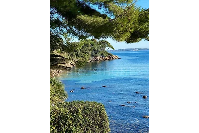 Adriana I By Terry's Homes pieds dans l'eau
