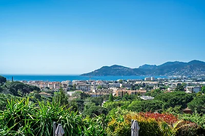 BELLA By Terry's Homes