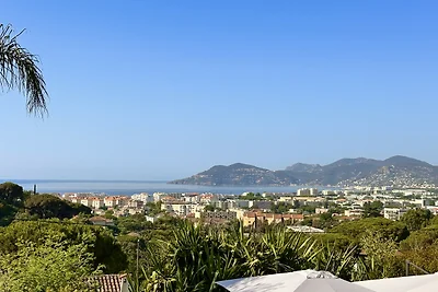 Bella By Terry's Homes vue mer