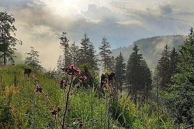 Ferienwohnung Harz Idyll