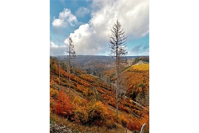 Ferienwohnung Harz Idyll