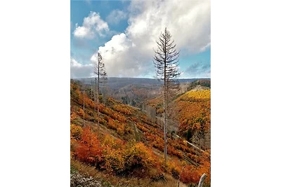 Ferienwohnung Harz Idyll