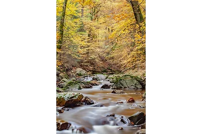 Ferienwohnung Harz Idyll