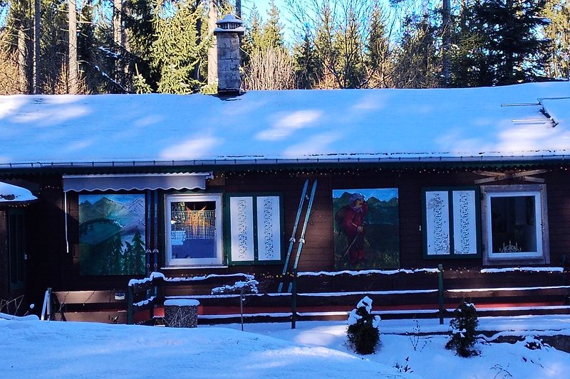 Verschneite Hütte im Wald, umgeben von immergrünen Bäumen.