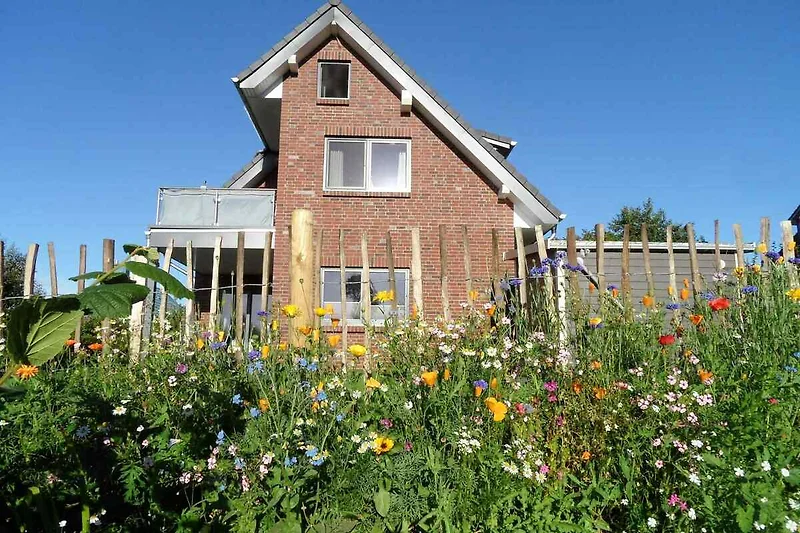 Huis met tuin, zonnebloemen en houten hek.