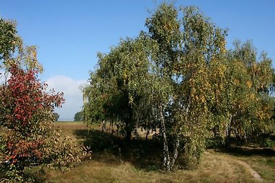 Ferienhaus Am Storchennest