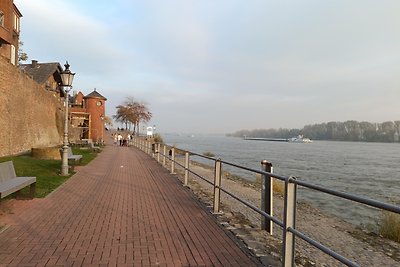 Ferienwohnung Rheinblick