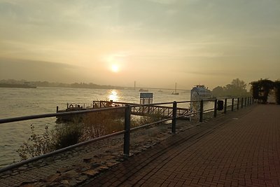 Ferienwohnung Rheinblick