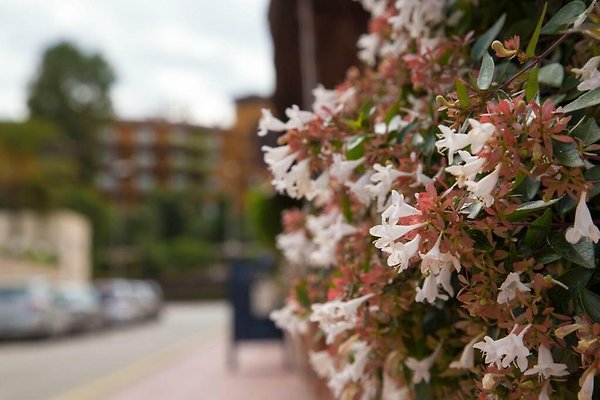 Vakantieappartement Lloret de Mar