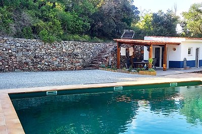 Natural Pool House