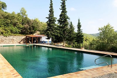 Natural Pool House