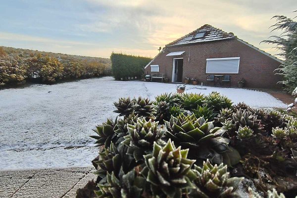 Ferienhaus Dornumersiel