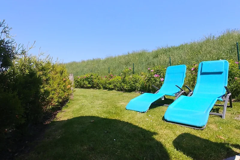 Blauwe tuinmeubelen op het gras met ligstoelen en schaduw.
