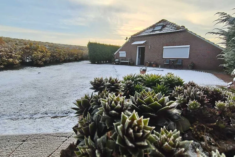 Verschneite Tannen und glitzernder Frost schaffen echtes Winterfeeling.